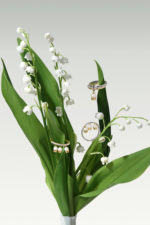 Lis des Vallées Ring with Pearls and Diamonds - Image 2